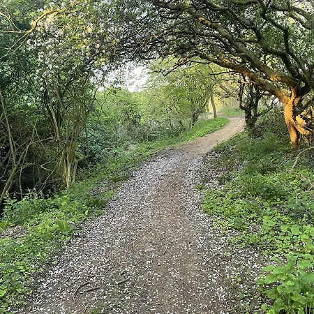 The Sandcastle Nyaraló